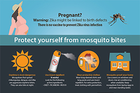 Protect yourself from mosquito bites poster thumbnail