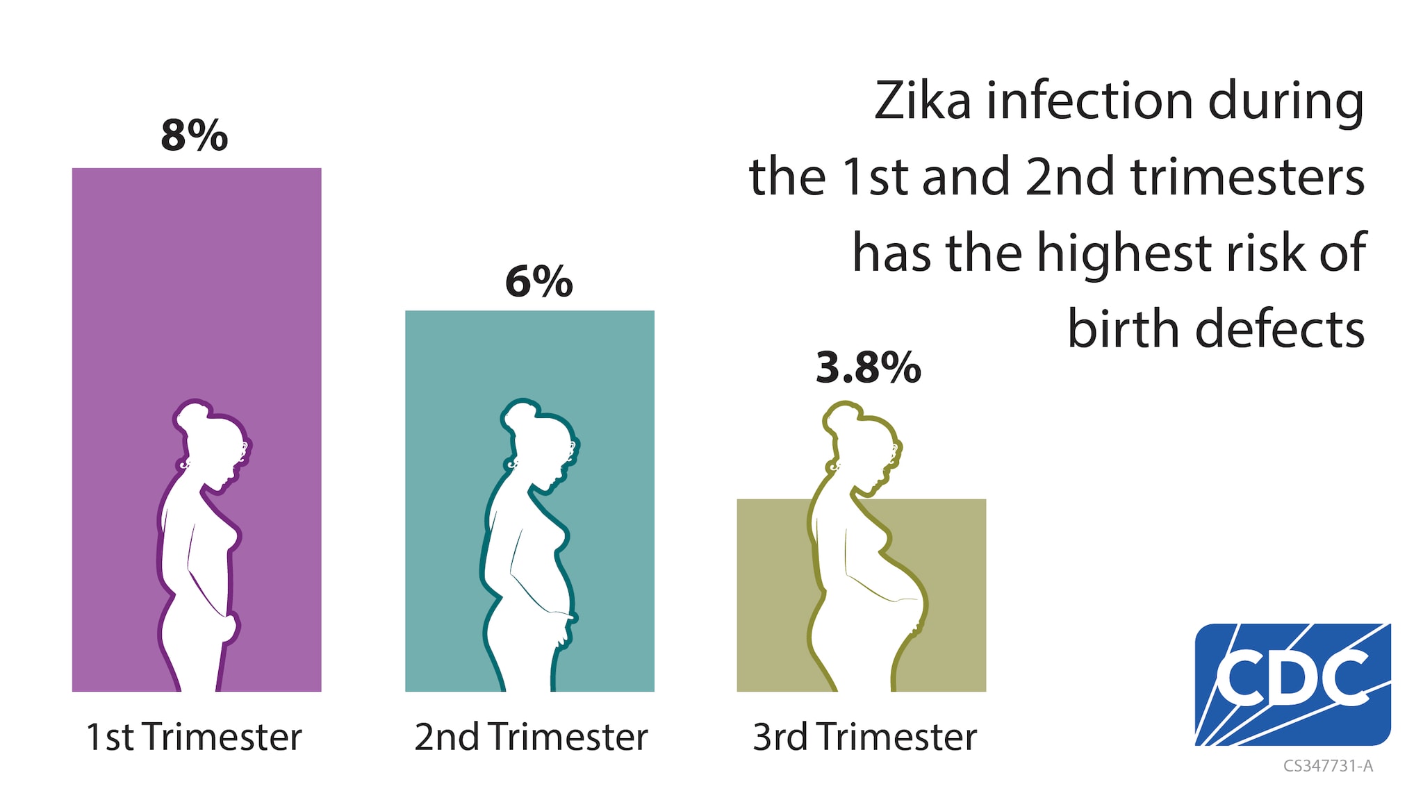 Bar chart with three columns showing that 8%, 6% and 3.8% of people with Zika virus infection during pregnancy during the first, second and third trimesters, respectively, had an infant with a birth defects.
